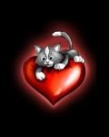 pic for Love Kitty